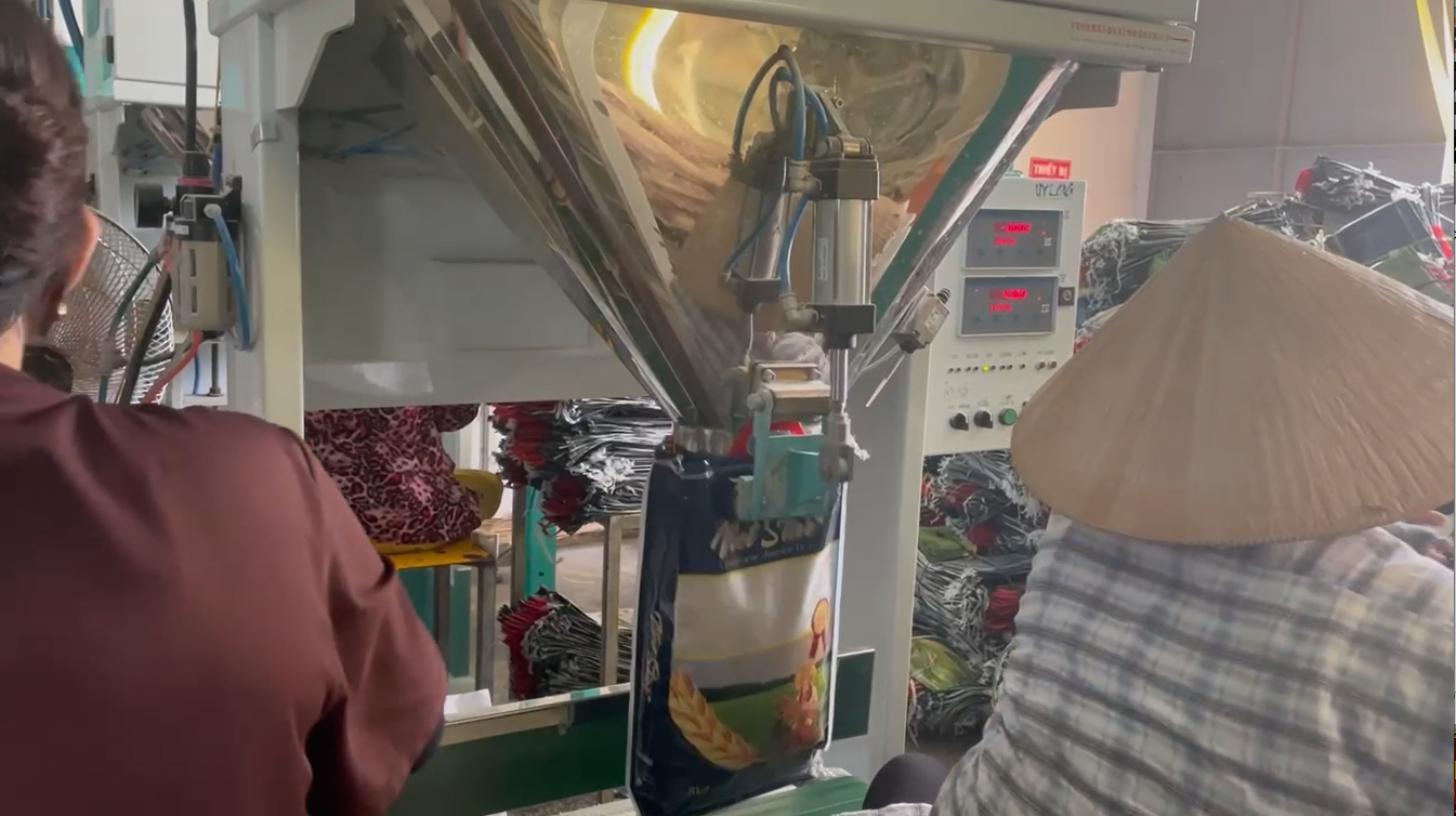 From Paddy to Package: Unveiling the Journey of Vietstar Jasmine Rice (+ Exclusive Factory Tour Video!)